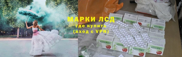 ECSTASY Алзамай