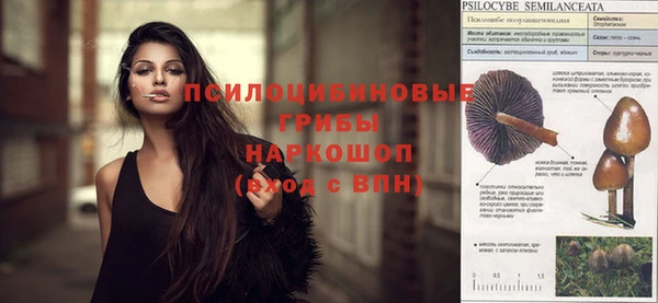 ECSTASY Алзамай