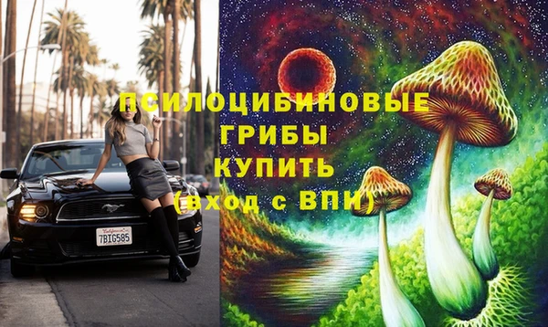 ECSTASY Алзамай