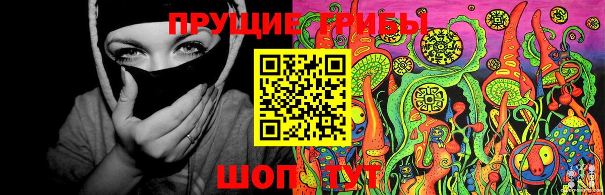 Псилоцибиновые грибы Psilocybe  Вход с VPN  наркотики  Тула  Псилоцибиновые грибы Magic Shrooms 